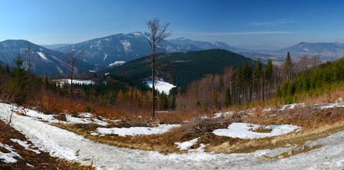 View from Lysá hora to the foothills of the Beskydy Mountains, Czech Republic. Forest, trees, sunny winter day, distant view.
