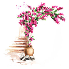 Old architecture of the Mediterranean, North Africa.  flowers of bougainvillea, Hand drawn watercolor illustration isolated on white background - obrazy, fototapety, plakaty