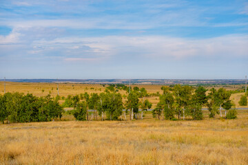 field of wheat