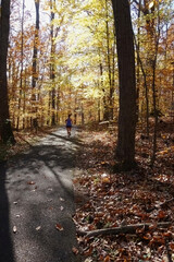 A jogger on a park trail in Virginia on an autumn day