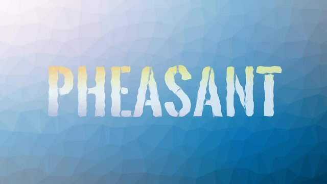 Pheasant appearing modern tessellated looping animated polygons