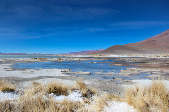 Shallow salt lake in the highlands of the Altiplano in southwest Bolivia, within Eduardo Avaroa Andean Fauna National Reserve and close to the border with Chile