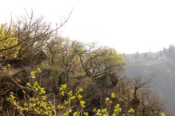 obereres Mittelrheintal (Loreley)