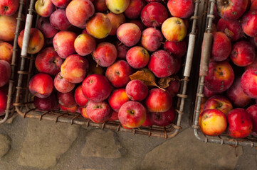 There are  organic apples in a metal crate