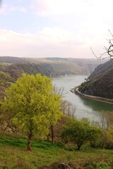 obereres Mittelrheintal (Loreley)