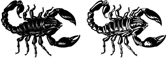 Graphic scorpions on a white background. Tattoo style, vector illustration.