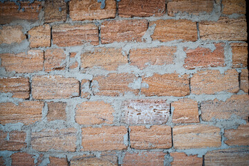 Shell rock wall as background. Texture is made of shells brick