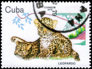 Postage stamp issued in the Cuba with the image of the Leopard, Panthera pardus. From the series on Zoo Animals, 1979