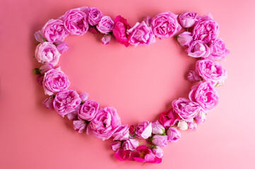 heart from may roses against pink background. romantic and beauty concept