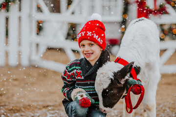 Boy posing with small bull against Christmas farm background. Copy space.