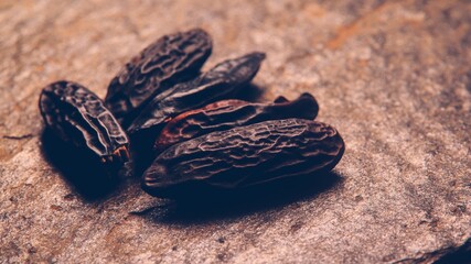 Tonka Beans on a dark background