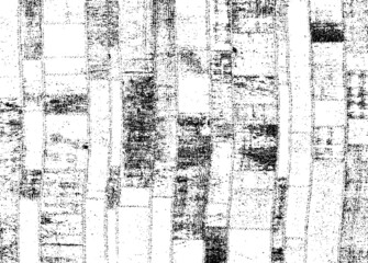 Rough black and white texture vector. Distressed overlay texture. Grunge background. Abstract textured effect. Vector Illustration. Black isolated on white background. EPS10