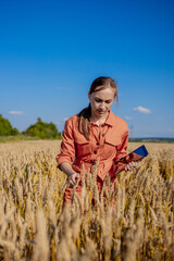 Woman caucasian technologist agronomist with tablet computer in the field of wheat checking quality and growth of crops for agriculture. Agriculture and harvesting concept.