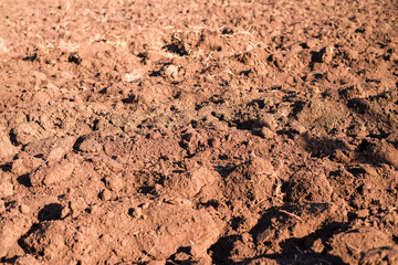 A plowed earthen field containing black soil and peat