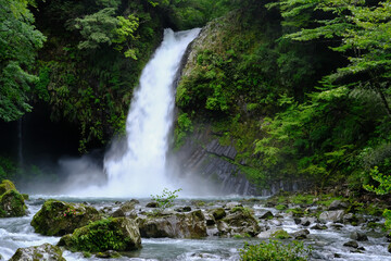静岡県伊豆の浄蓮の滝