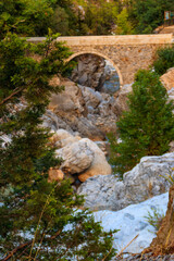 Fototapeta na wymiar Ancient stone bridge across a mountain river in Kesme Bogaz canyon, Antalya province in Turkey