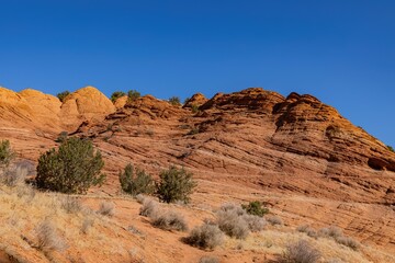 Fototapeta premium Beautiful landscape around Wire Pass Trail