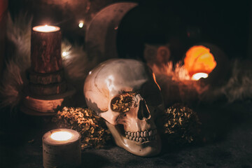 Occult mystic ritual halloween witchcraft scene - human scull, candles, dried flowers, moon and owl
