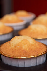 Cupcake without filling close-up. Selecti