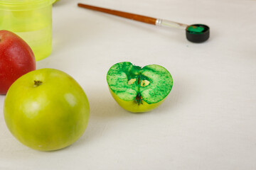 Printing of stamps. handmade with an exclusive print on clothes. step-by-step instruction