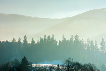 Lichtdoorlatende rolgordijnen zonder boren Mistig bos spruce trees on the hill on a foggy morning. beautiful nature scenery in winter. backlit silhouettes in mist