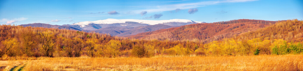 sunny evening in mountainous countryside. beautiful panorama of rural landscape in spring. snow capped ridge in the distance. wonderful weather with clouds on the blue sky