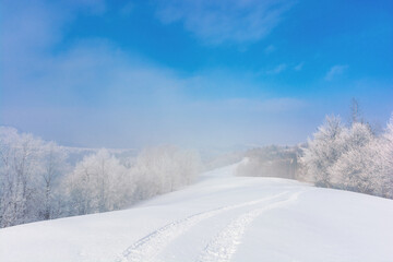 trees in mist on a snow covered hill. fairy tale winter mountain scenery. frosty weather on a sunny morning