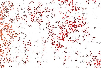 Light Red vector background with abstract forms.