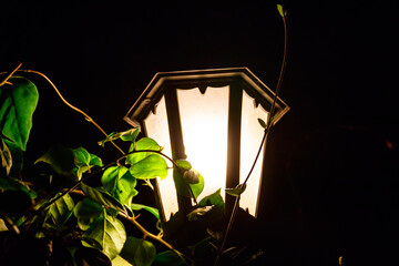 Lighted vintage street lantern at night