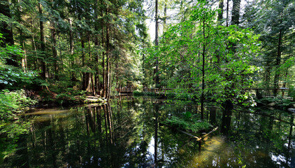 VANCOUVER, BRITISH COLUMBIA, CANADA, MAY 31, 2019: Small lake in the River Regional Park in North Vancouver, Capilano is famouse for Suspension Bridge is 460 feet long and 230 metres above the river.