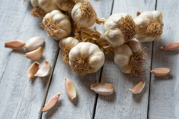 Organic grown garlic