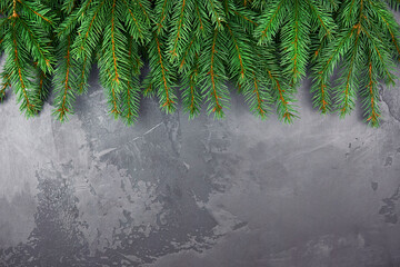 Green christmas tree branches on grey concrete background