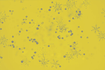 Fashionable illuminating pantone color of the year 2021. Modern luxury background or mock up, copy space. Color trend concept.