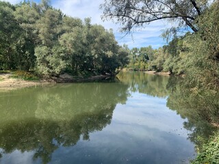 lake in the forest