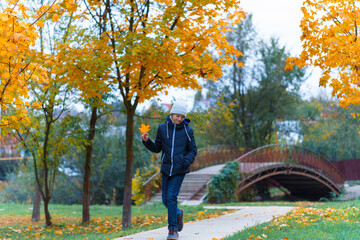 a girl walks along the path and enjoys autumn, maples with yellow leaves and a bridge over the river