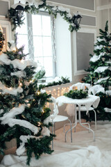  Table with two chairs between Christmas trees covered with snow and garlands outside. Family home New Year decor. Studio background