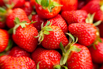 strawberry group macro closeup focus detail