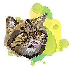 Exotic shorthair cat vector illustration. Portrait, gradient.