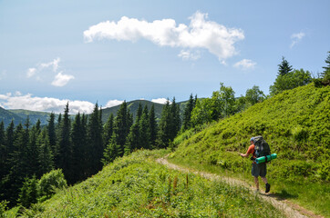 Fototapeta na wymiar Hiker with big backpack and poles in hand going on the mountain trail. Walking outdoors in the mountains. Carpathians, Ukraine