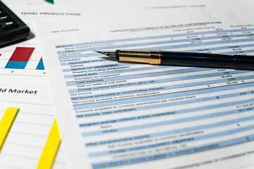 Statement of profit and loss. Accounting and financial report analysis. Selective focus