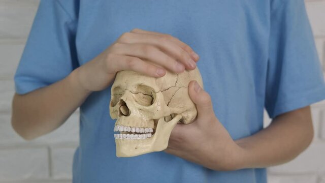 Human skull in the hands. A view of human skull in the man's hand in the room.