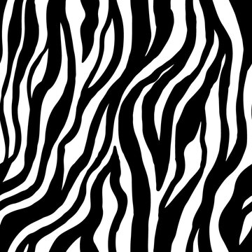Zebra stripes seamless pattern for printing on fabric. Beautiful print for printing on phone cases, clothes, paper. Animal print vector format in black and white