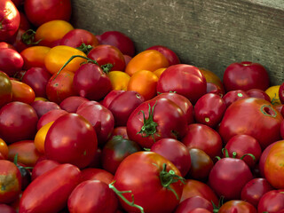 Background with ripe red tomatoes..