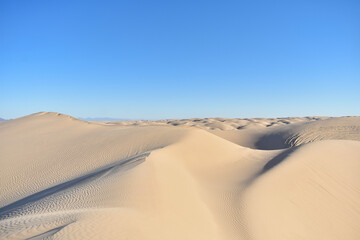 sand dunes in the desert