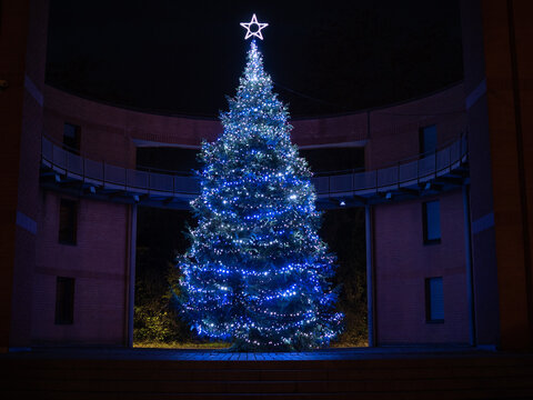 Christmas tree outside with blue lightning and star on top.
