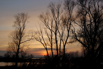 Fototapeta na wymiar sunset in the winter with trees