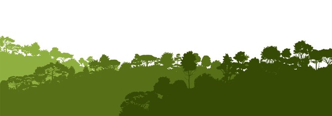 Deciduous forest. Silhouette. Mature, spreading trees. Thick thickets. Hills overgrown with plants. Isolated on a white background. Vector