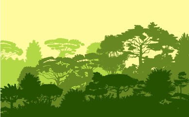 Deciduous forest. Silhouette. Mature, spreading trees. Thick thickets. Hills overgrown with plants. Sky. Vector
