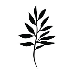 Hand drawn doodle vector branch for posters, greeting cards, web, clothes, wrapping paper. Floral silhouette element isolated on white background.