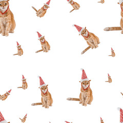 Cute cat wearing santa claus hat. Festive New Year background. New year and cat. Dog. Isolate. Christmas pattern